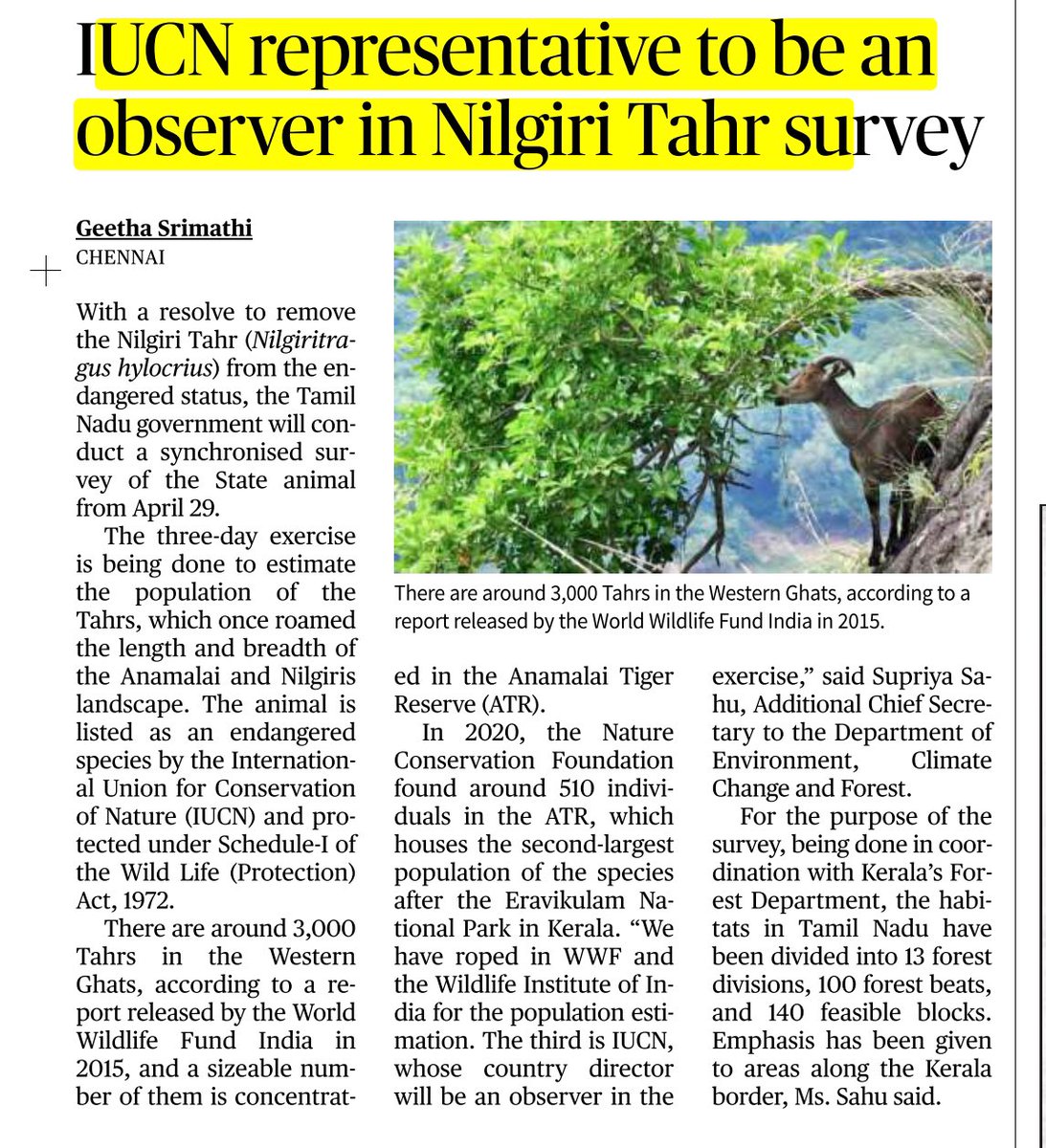 Nilgiri Tahar. Source: the Hindu #UPSCPrelims2024
