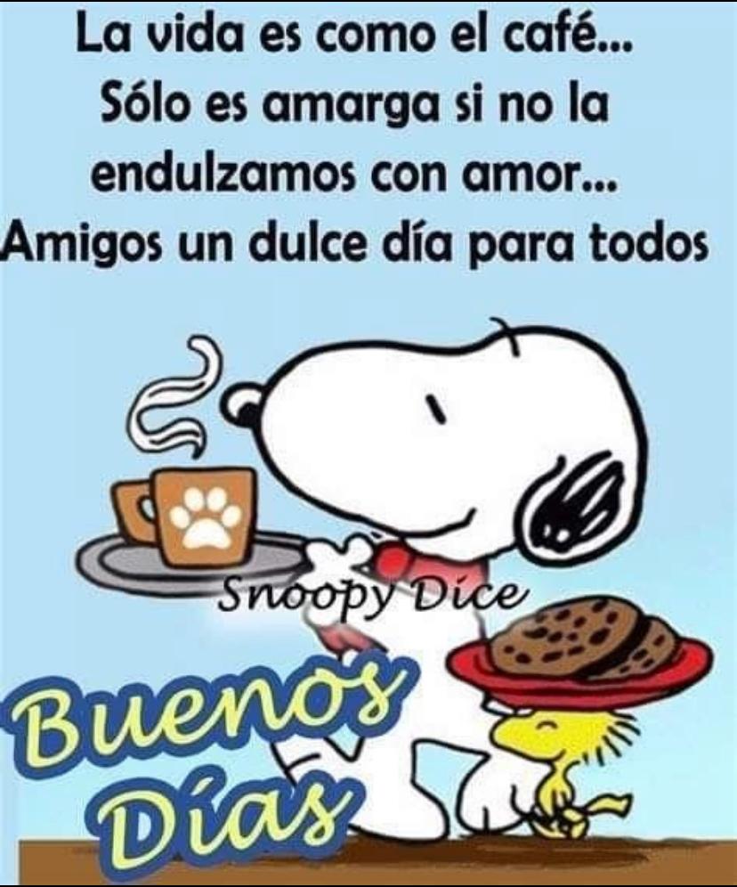 #felizsabado #sabadete #SaturdayMotivation #weekendmood #findesemana 💪❤️💛💜🕊️✊👏🌹🇵🇸💋🥰🌺📚☕🌿🌎💞😻💫