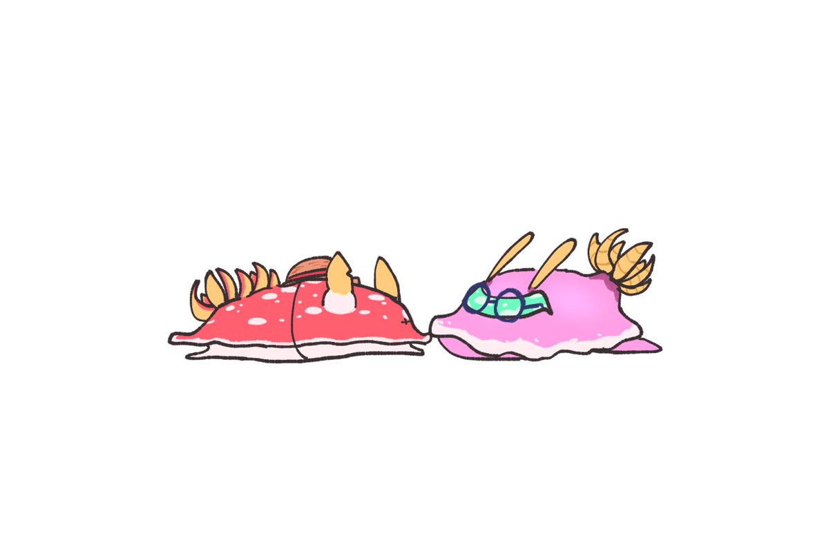 Cobylu as anything 👓👒
Part 2: Nudibranchs