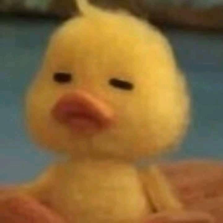 cheol thinker ⋆｡˚ ☁︎ (@cscthnkr) on Twitter photo 