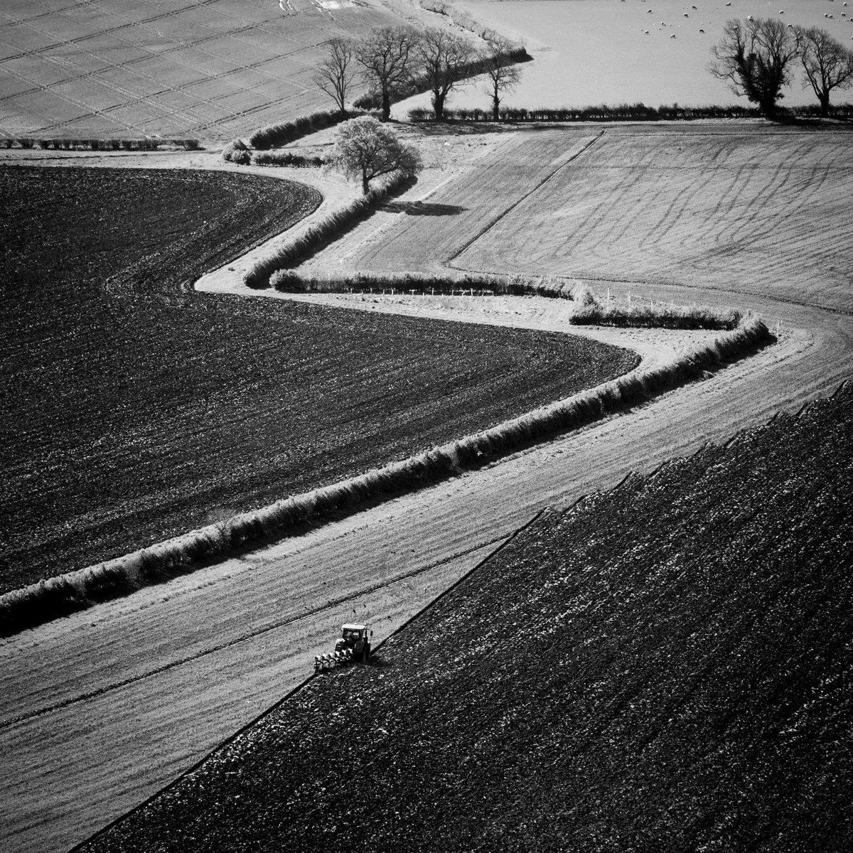 Ploughing the zig-zag fields. Taken from the top of Tan Hill in Wiltshire. OM-1 and 40-150f4.