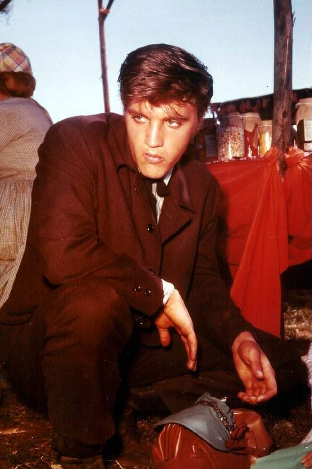 On the set of Love me tender
#Elvis #Elvis1956 #ElvisPresley #Elvistheking #ElvisHistory #Elvis2024