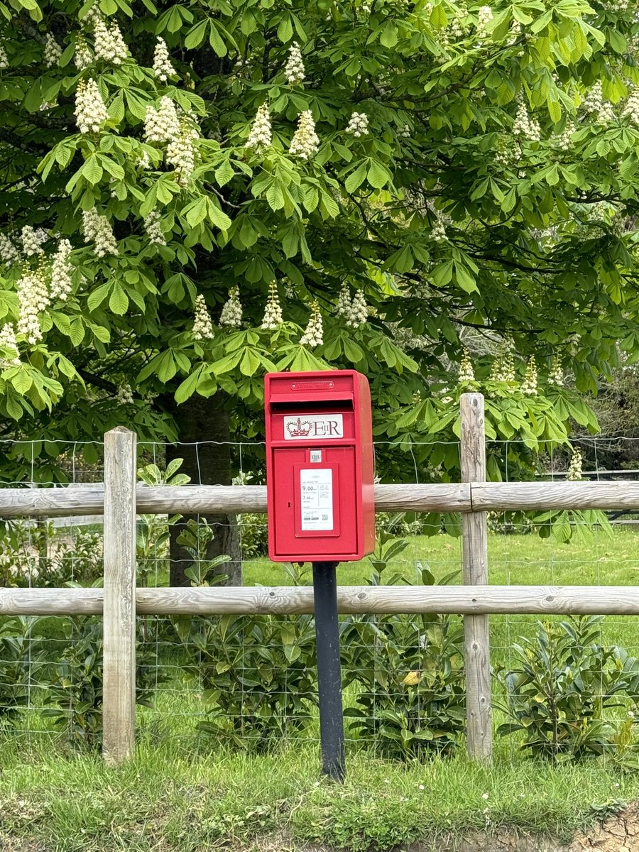 #postboxsaturday 
Woodlands