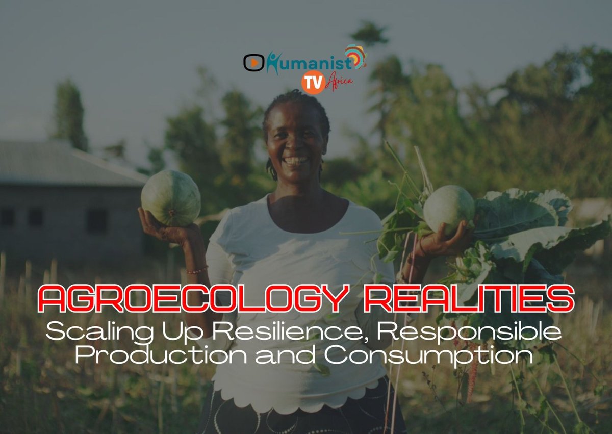 🌱Dive into the world of Agroecology with our expert panel today on Humanist TV! 📺 Join us at 15:00 hrs EAT for rich and exciting insights that'll transform the way you see agriculture. @FutureForAll @kimehenrich YT: youtube.com/live/vyVhIB9th… #Agroecology #Sustainability