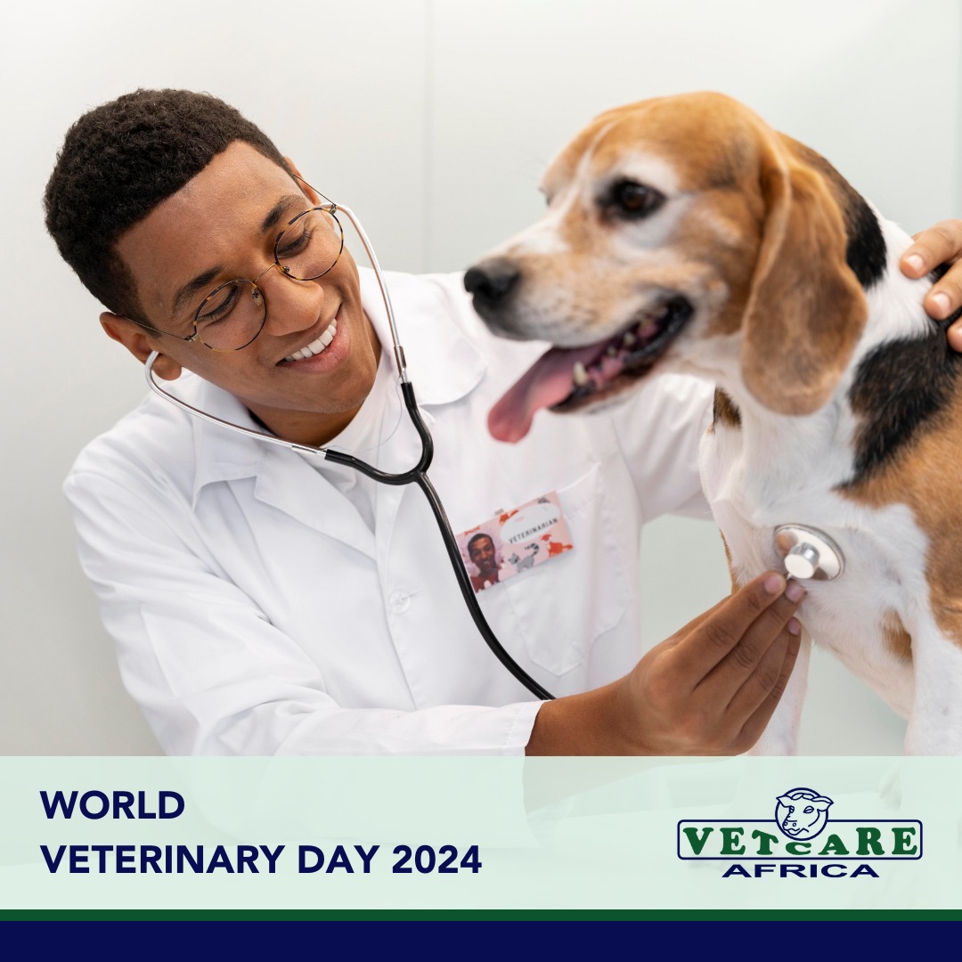 Happy world veterinary day 2024

Thank you to  all the veterinarians for  always being there to protect and take care of the animals,environment, and people. You are doing an amazing job.
#worldveterinaryday2024 #onehealth #veterinary #animalhealth #africanfarmers #vetcareafrica