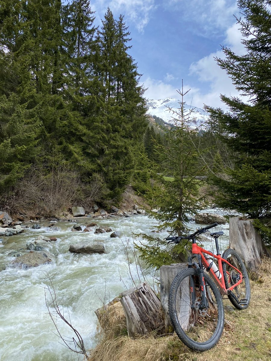 weekend cycling 
#treeride