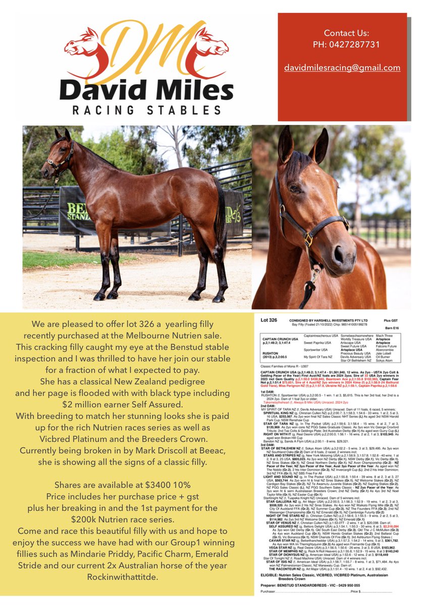 Exciting opportunity to get into a lovely filly