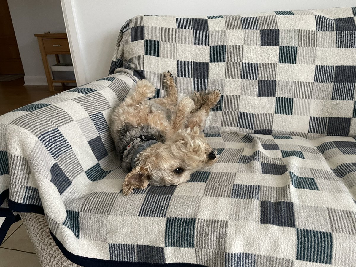 It’s the weekend… lying in time! 🐾😴