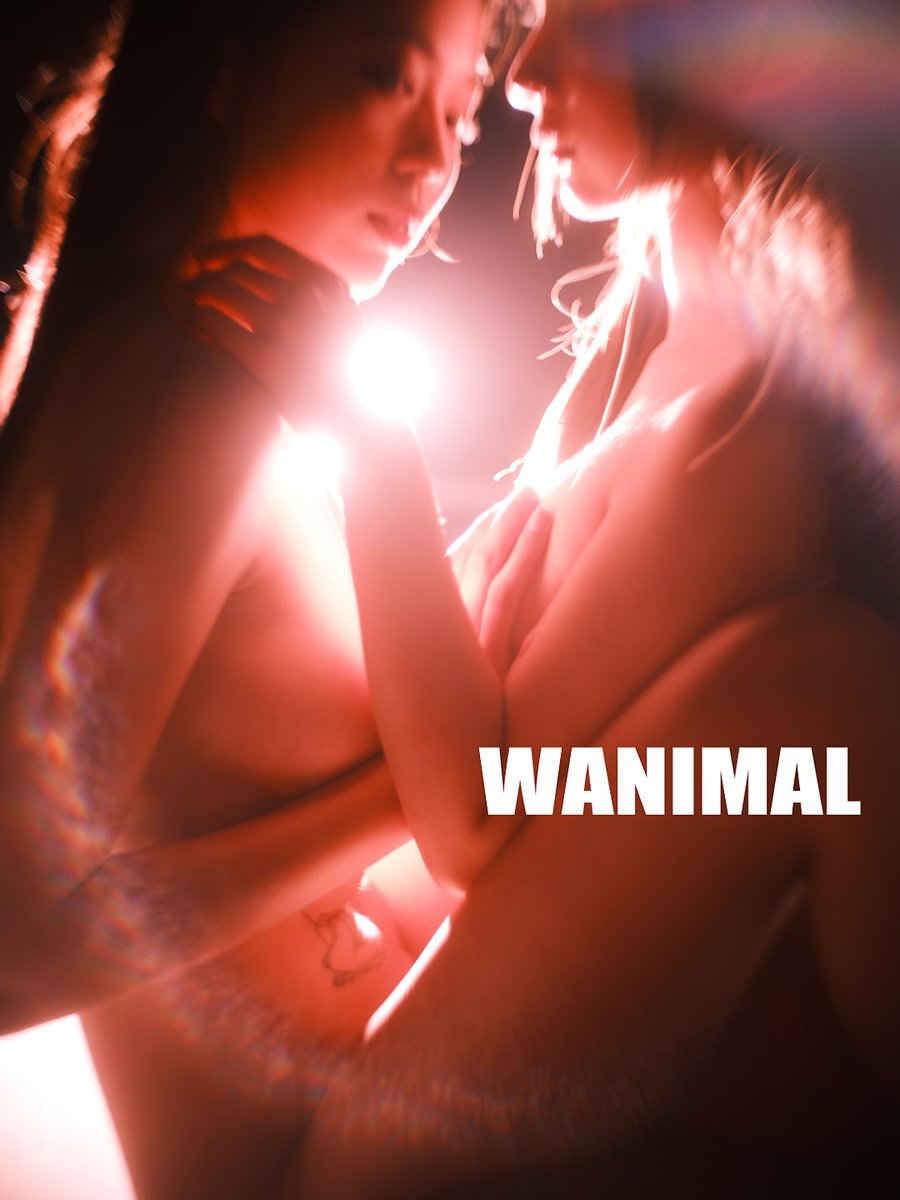 WANIMAL912 tweet picture