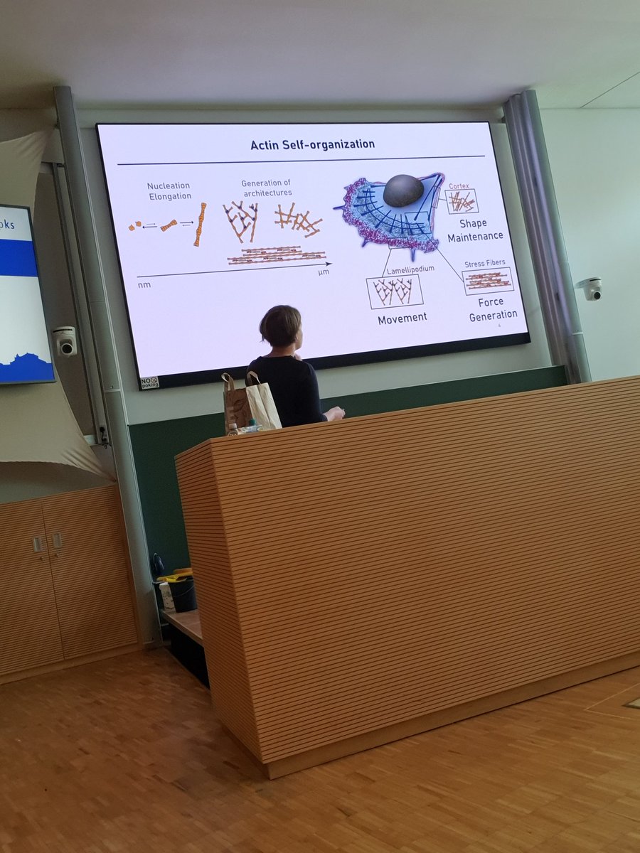 IntCha24 (@intcha24) on Twitter photo Yesterday Paul Robin, Stefania Ketzetzi, Eva Bertosin, Sumithaba Brahmachari and <a href="/acoli12/">Alexandra Colin</a> (Nanofluidics and Biopolymers) closed #intcha24 Yesterday Paul Robin, Stefania Ketzetzi, Eva Bertosin, Sumithaba Brahmachari and <a href="/acoli12/">Alexandra Colin</a> (Nanofluidics and Biopolymers) closed #intcha24