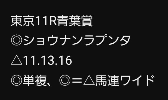 東京11R ◎ショウナンラプンタ2️⃣着…惜しい‼️ 一応、複勝とワイド🎯ですが…1着シュガークン消しではは儲かりませんね💦