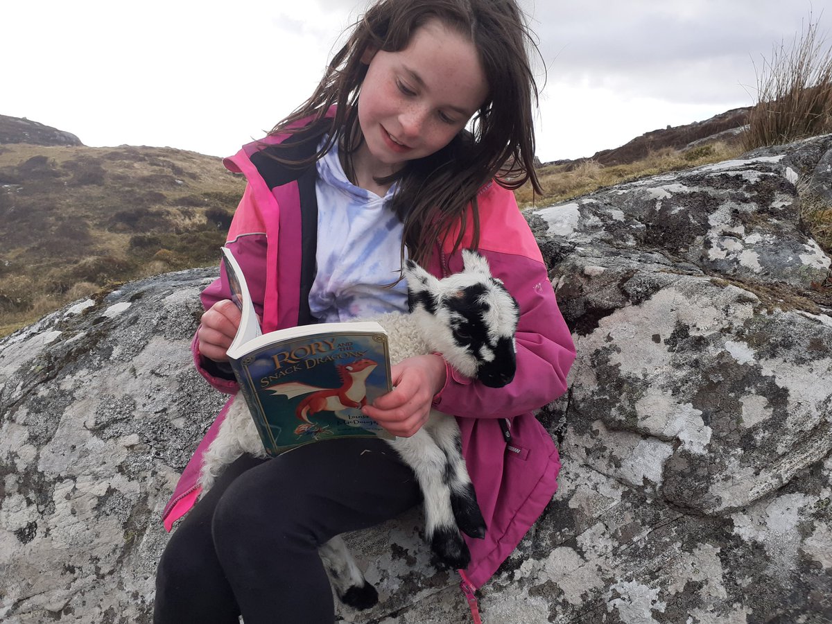 We've heard that copies of #roryandthesnackdragons are starting to arrive with real readers & can't wait to find out what they think. In the meantime we found another wee friend on the croft to read it to. @GiuliaCregut @littledoorbooks #lambfan