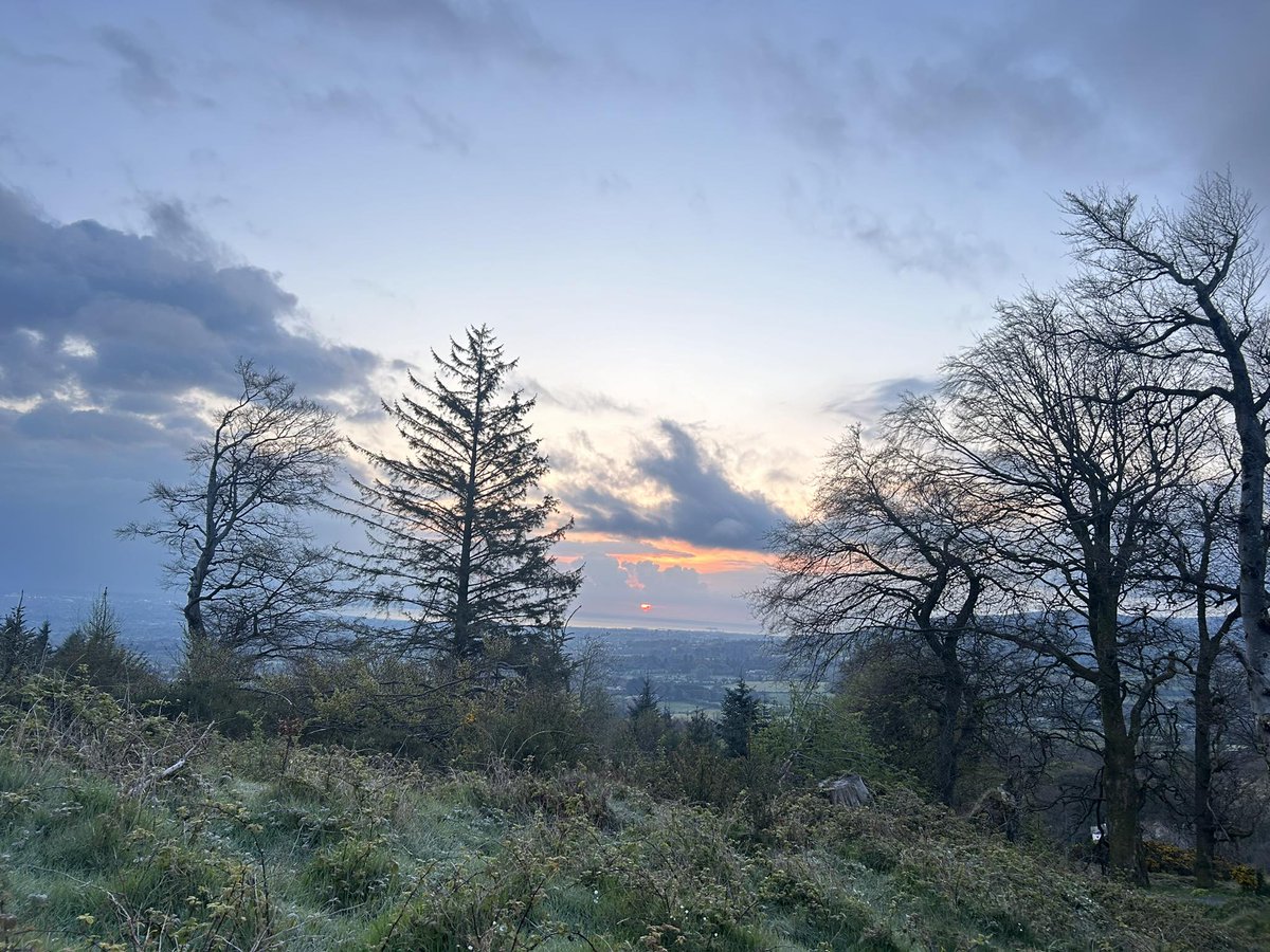 Good morning Dublin #sunrise #WeekendVibes #nature