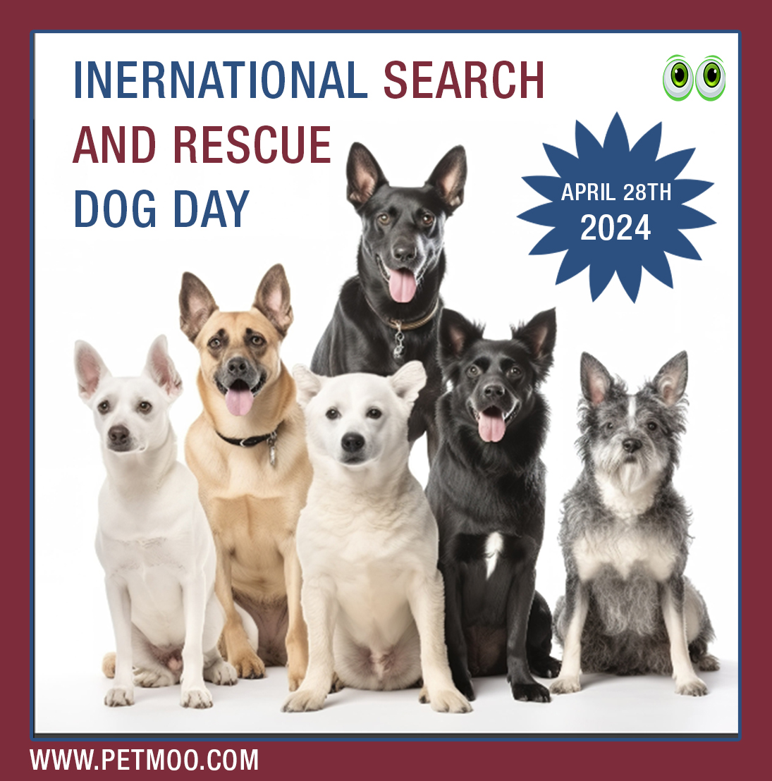 International Search and Rescue Dog Day
#petmoo #pets #dogs #dogdays #petdays #petday2024 #rescuedogday #searchdogday #internationalsearchandrescuedogday