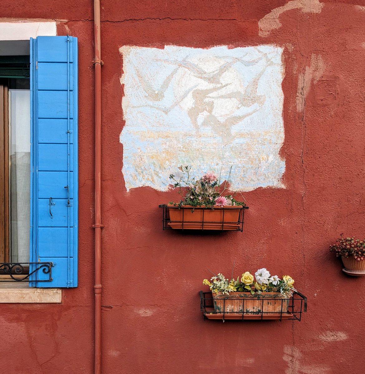 Affresco buranello #venezia #venice #veneziagram #veneziaunica #igersvenezia #veneziadavivere #travelphotography #venise #picoftheday #architecture