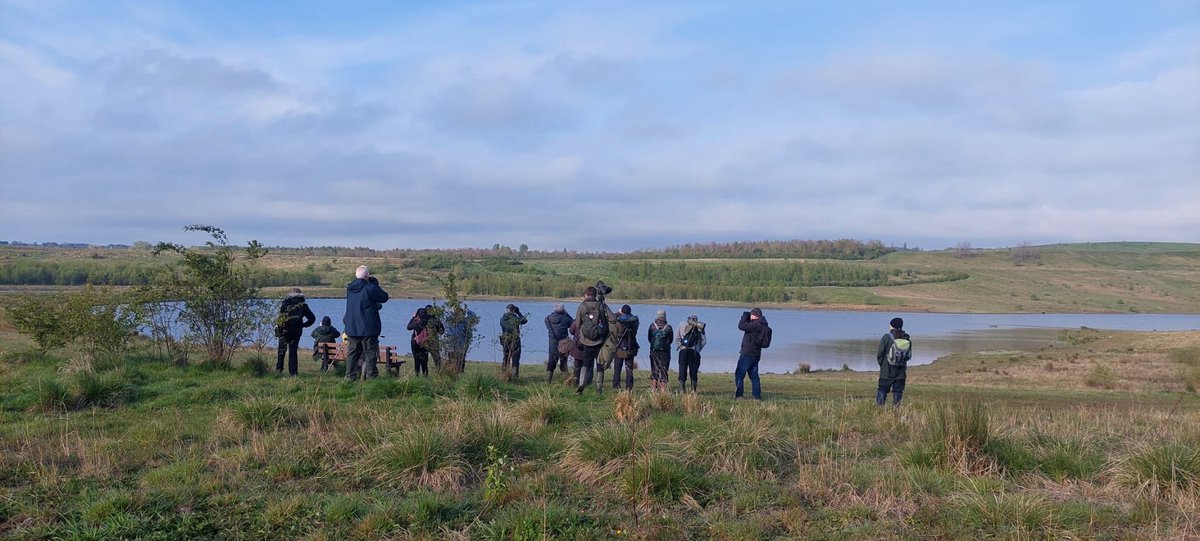 Smart turn out for our annual spring wander around Orgreave. 23 souls, unexpected ☀️ and 46 species. Most major targets seen/heard inc Cetti’s, Whitethroat, Wheatear, Swifts, Swallow, HM, SM, LRP and, late on, Arctic Tern, Yellow Wag passed thro’. Thanks for joining us.