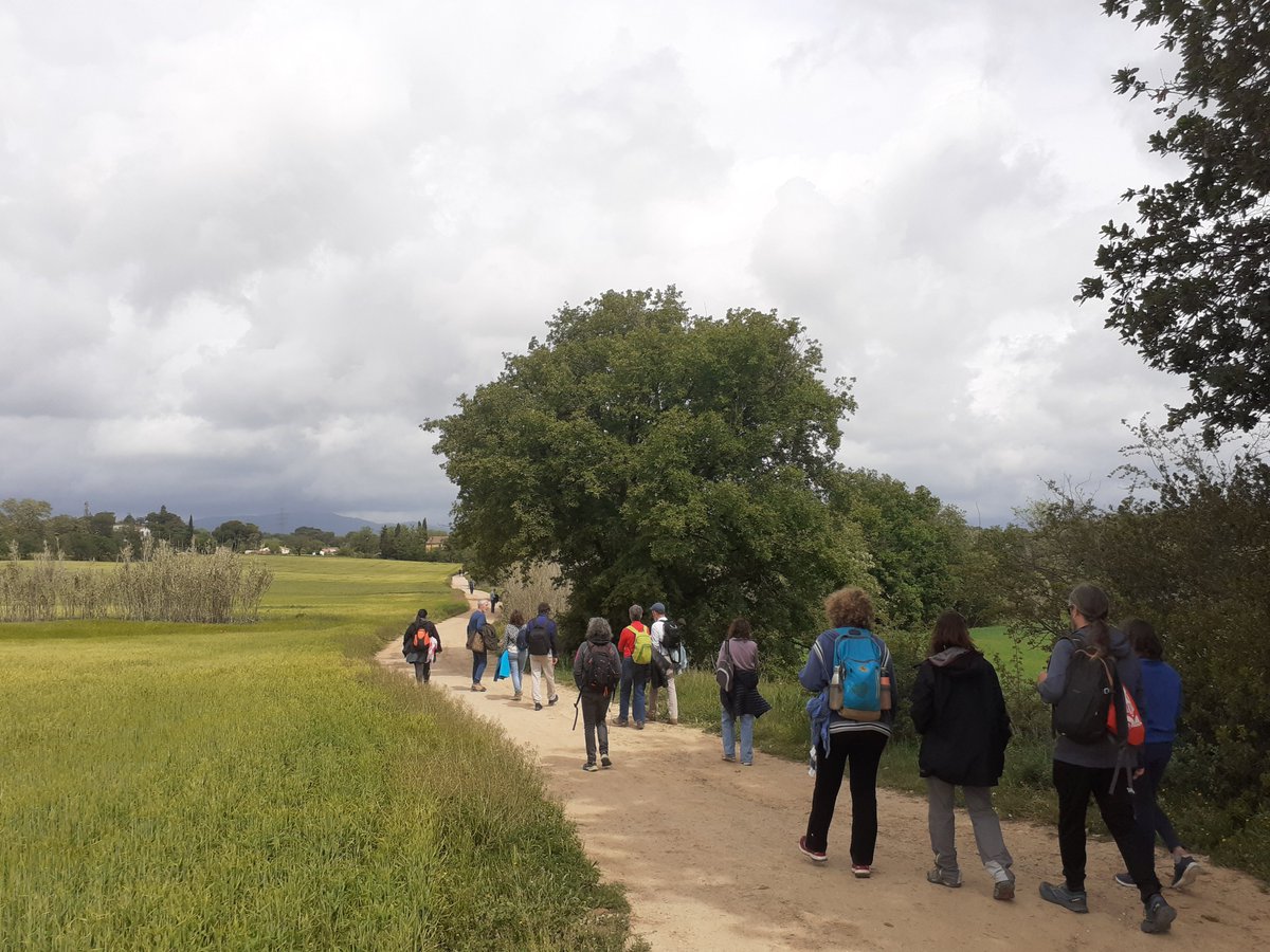 🚶‍♀️Avui hem gaudit d'una passejada per Gallecs a #Mollet. Hem compartit coneixements sobre agroecologia, biodiversitat, defensa del territori contra l'urbanisme especulador i molt més!👩‍🌾🦔🌱