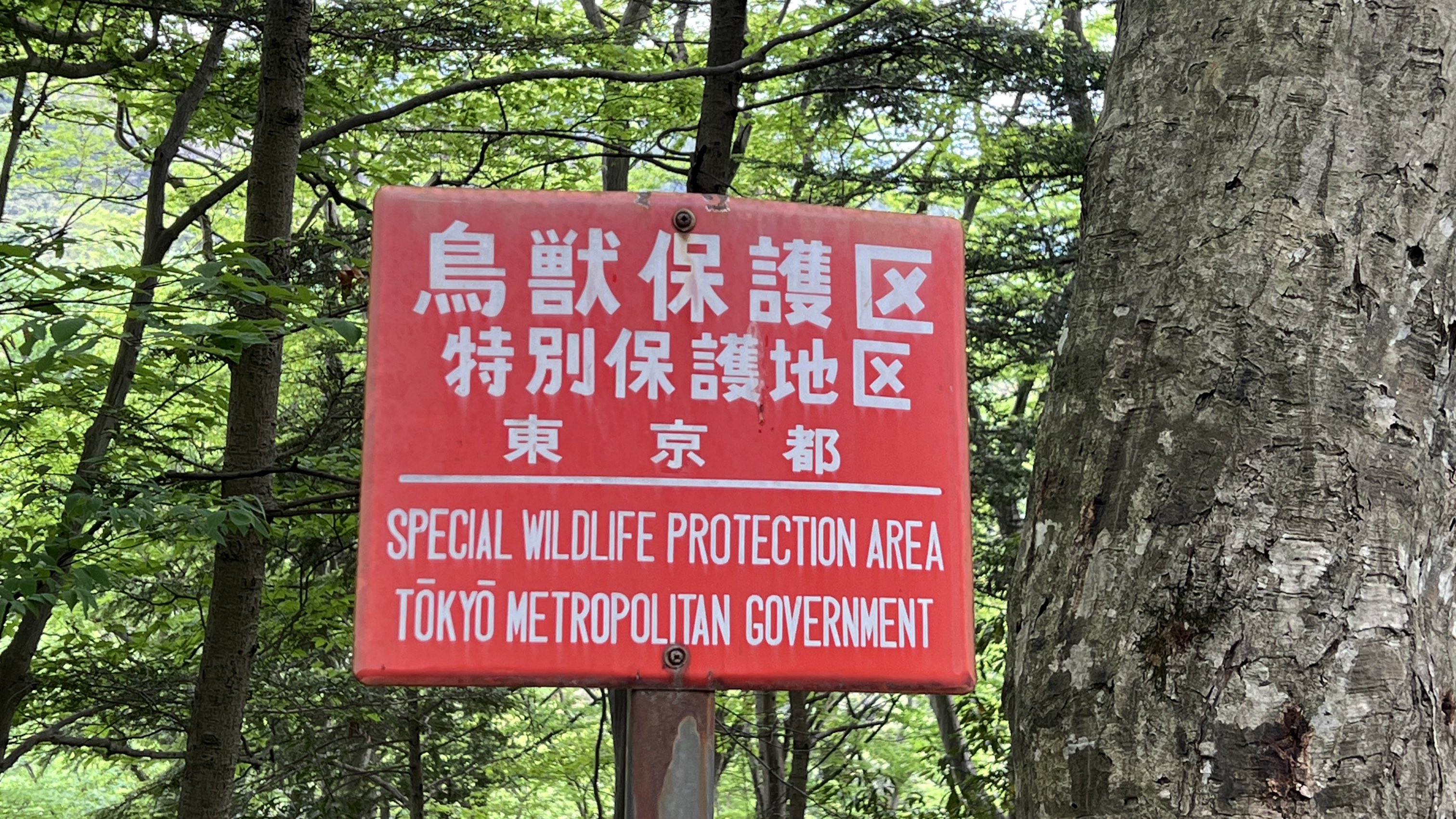 鳥獣保護区北海道看板 鳥獣保護区北海道看板 | 鳥獣保護区 看板 鳥獣保護区看板 北海道
