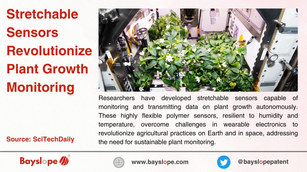 New stretchable sensors transform plant growth monitoring.

#StretchableSensors #PlantGrowth #AgTech #SpaceFarming #SustainableFarming #Innovation #PolymerTechnology #WearableTech #SmartFarming #AgriculturalTech #FutureOfFarming #GreenTechnology #TechRevolution