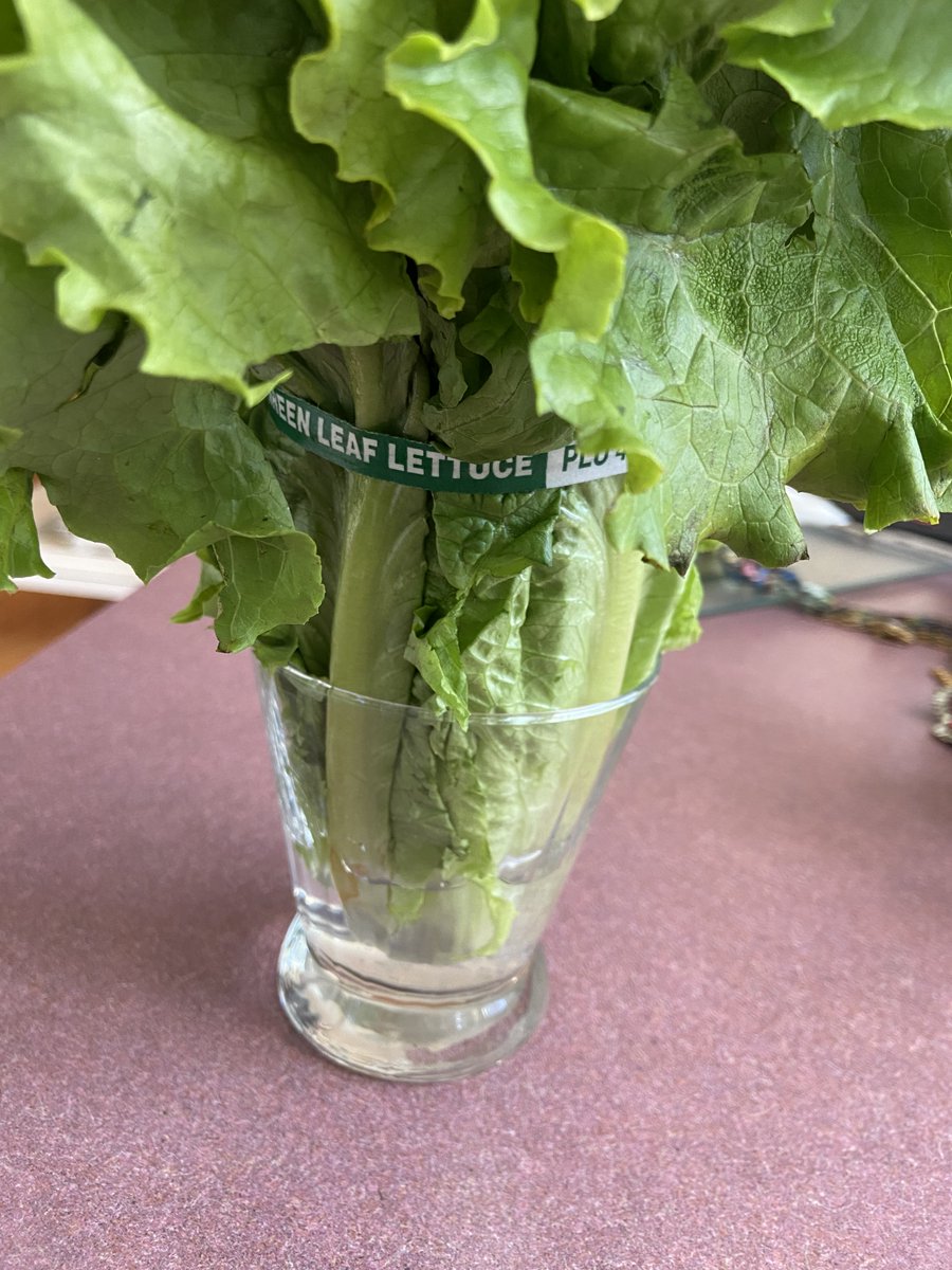 Keep your lettuce, broccoli, asparagus etc fresh by treating them like flowers. Cut the bottom and put some water in the bottom of a glass. Then enclose in a plastic bag and put in refrigerator to keep fresh #healthylifestyle #diet #HealthyChoices #HealthyEatingHabits