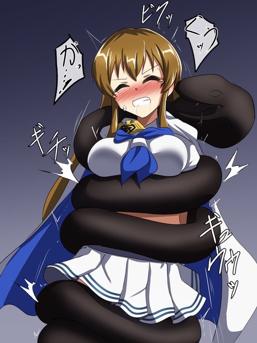 頑丈で楽しみがいがあるマイティセーラー海美。 