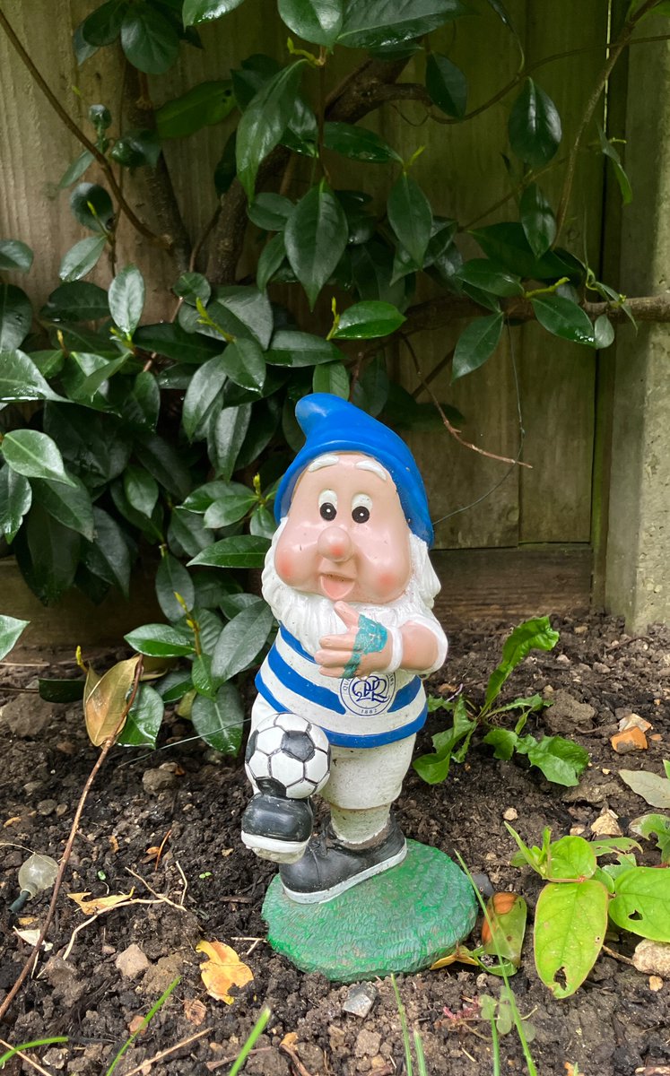 AlexRiceman's tweet image. Lyndon my garden gnome is looking extra happy today. #QPR