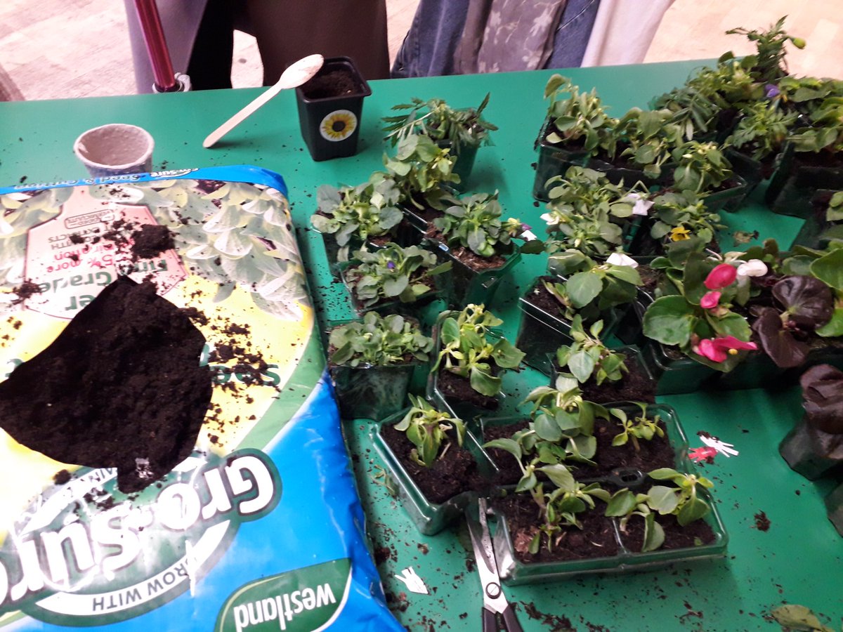 #FamilyFun Always a pleasure to see families @OKRFZ #plantgiveaway 🌻🌺🌱 #seedingup #growyourown #enjoyment #newskills #community @SurreySqSchool #GoodtoGrow2024