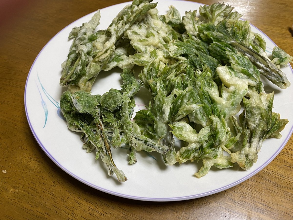 コシアブラ最高だった。山菜の天ぷら楽しみに春を生きてる