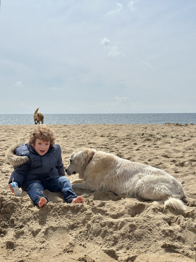 Today we’re at the seaside 💛🐾🐾💛#Southbourne beach #bournemouth