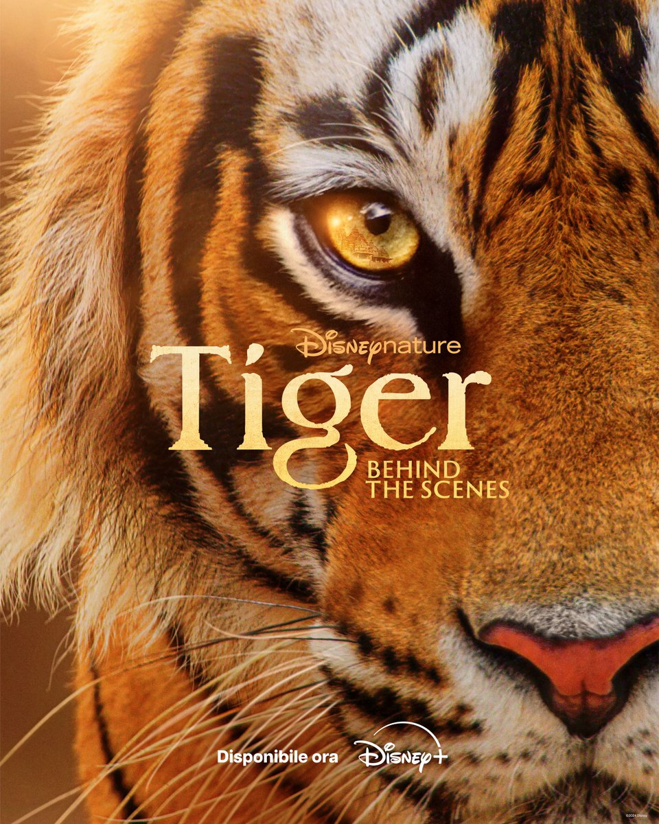 Andiamo dietro le quinte di Tiger con Tiger: Behind the Scene di Disneynature, disponibile ora su #DisneyPlus.