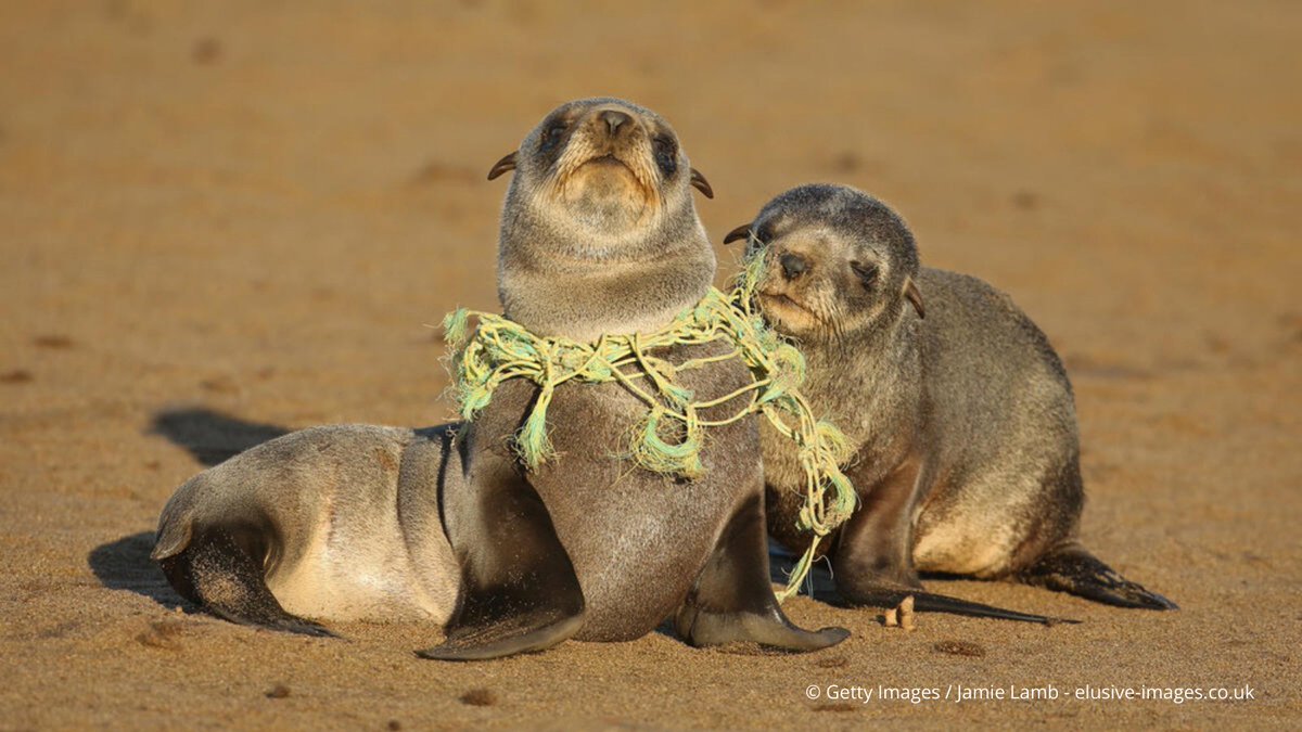 RT if you want a global #PlasticsTreaty that will #StopPlasticPollution: bit.ly/3VZVpRU ❗️ #INC4