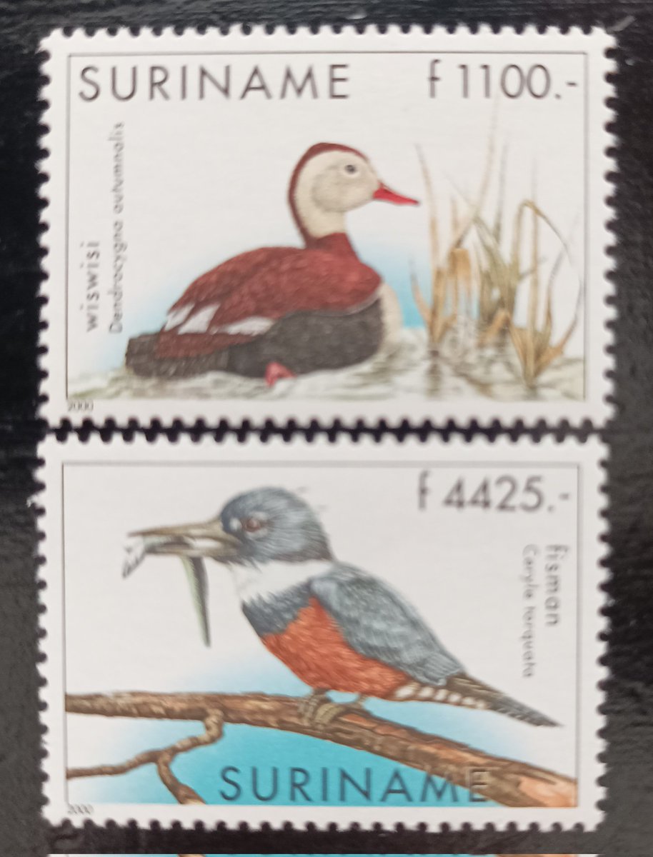 Surinam 2000 #birds #stamps #FDC #philately