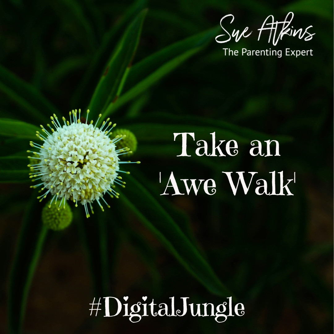 The #GreatBarrierReef showcases the sheer scale and beauty of the world but so does a walk in the woods, smelling the #Bluebells, looking up at the sky, listening to the birds - take an #AweWalk today to detox #smartphonefreechildhood #digitaljungle