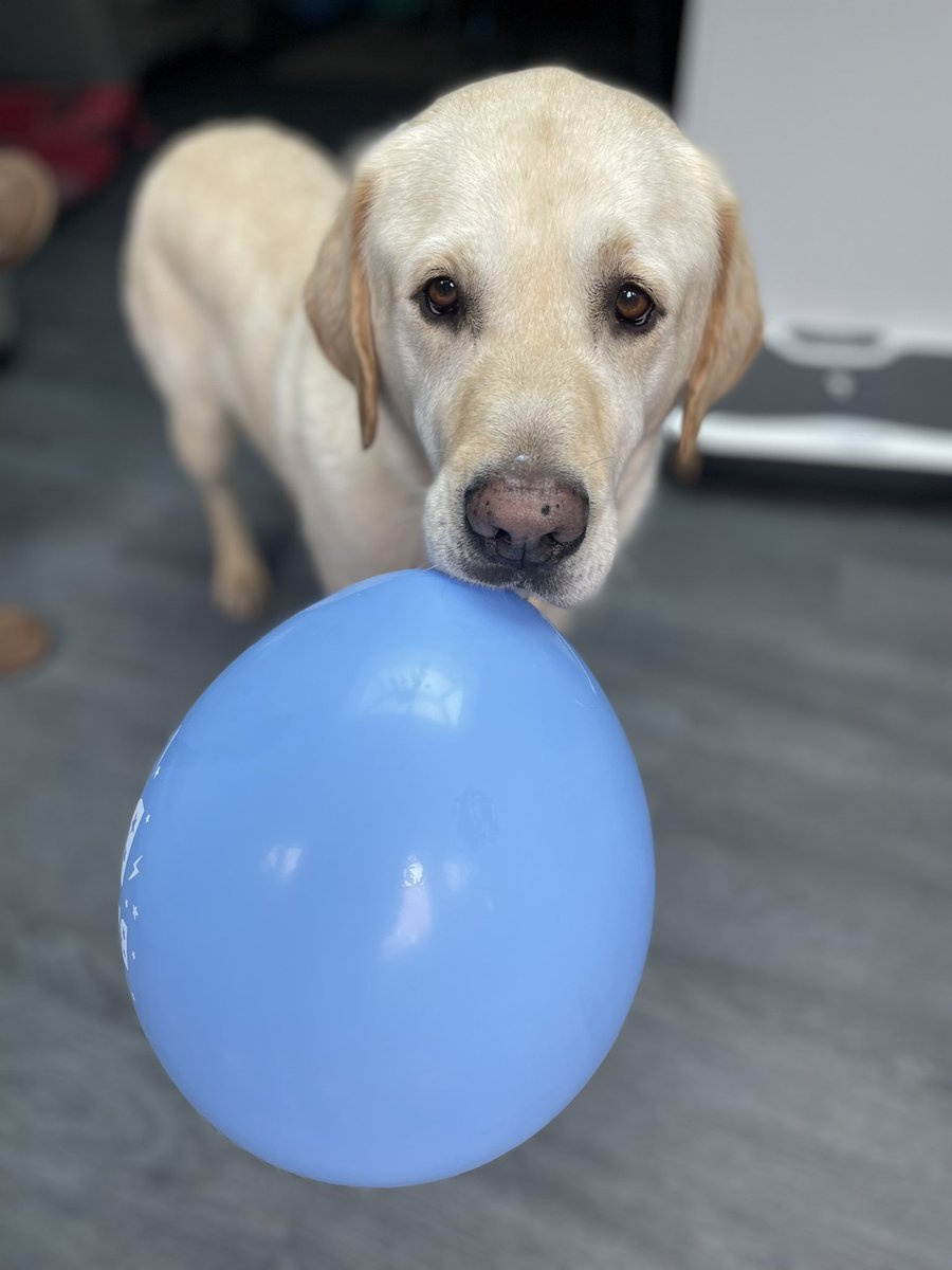 “Come on dad, how many more of these balloons have I got to blow up?”