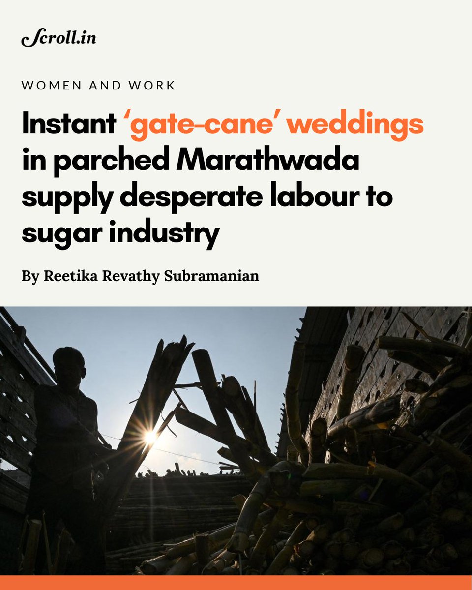 The gate-cane wedding practice is modelled on hiring practices in the labour-intensive sugarcane industry. scroll.in/article/106693… With marriage, adolescent girls are transformed into wives and koyta workers. @reetiks explains the practice, which is prevalent the water-starved…