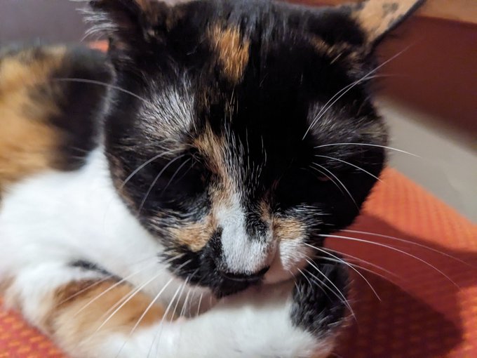 目元が暗くて見えない 