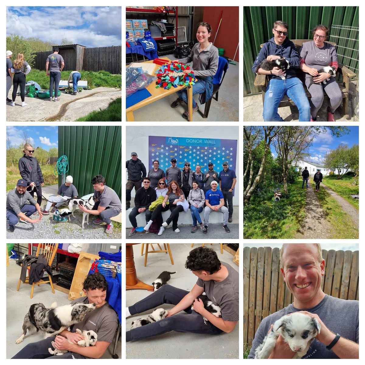 Such a productive day at kennels with corporate @MathWorks #Galway team They worked so hard- lots of dogs walked and puppies cuddled, the sun shone ☀️ There was lots of laughter and plenty of tired but happy people and dogs! 🐕🙏🏼 #CSR #GivingBack #DogRescue