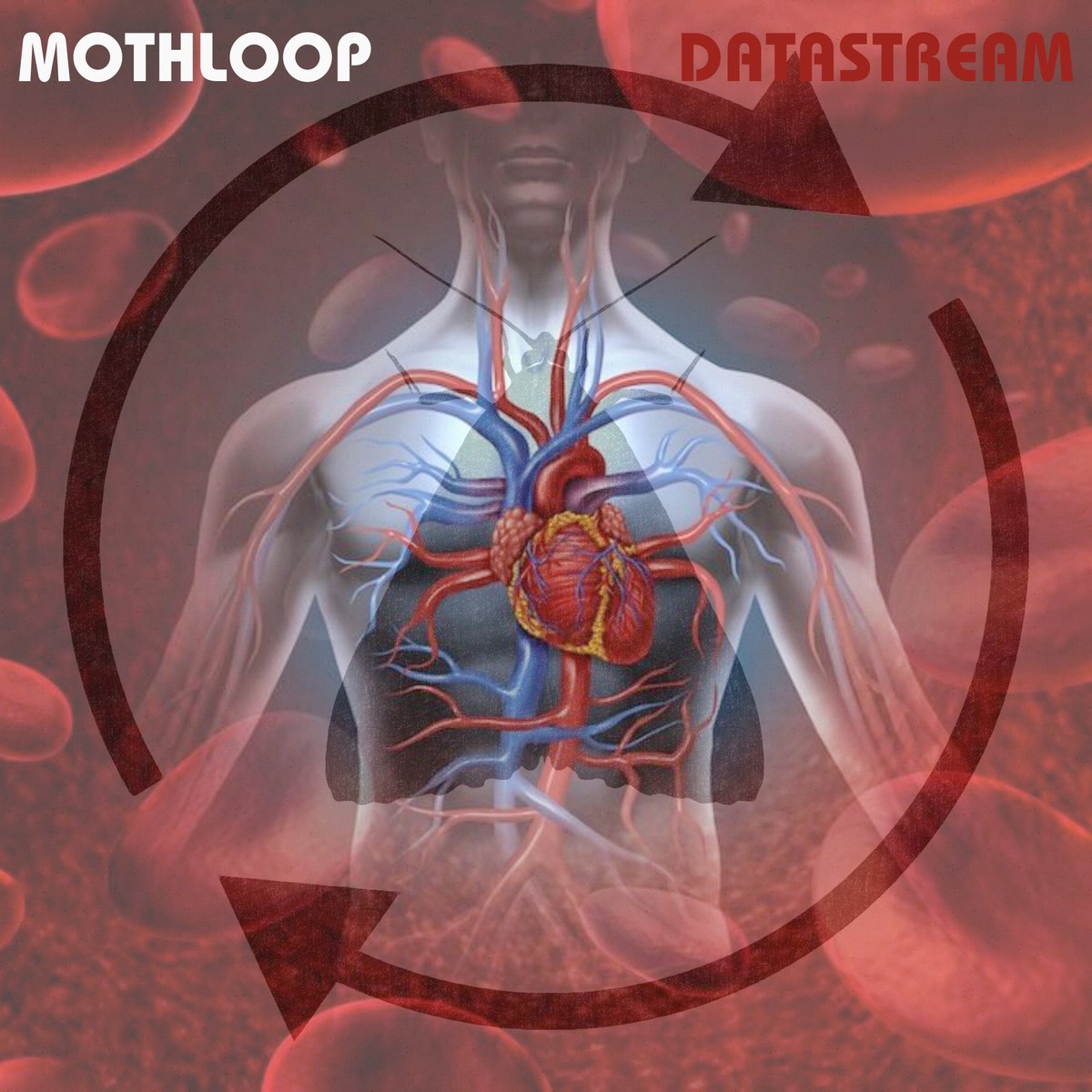 Mothloop (@mothloop1) on Twitter photo Don't forget today (Sat 27/4) 6-8 (UK)... we help <a href="/ColinsCuts/">Colin Spencer #AllAboutTheMusic #GenerationBlitz</a> celebrate his 100th show with a 'lost' track from our shelved album. It's called 'Datastream'. It's contaminated but not disco. Take a listen and let us know if you think we should release it mixcloud.com/colinspencer/ Don't forget today (Sat 27/4) 6-8 (UK)... we help <a href="/ColinsCuts/">Colin Spencer #AllAboutTheMusic #GenerationBlitz</a> celebrate his 100th show with a 'lost' track from our shelved album. It's called 'Datastream'. It's contaminated but not disco. Take a listen and let us know if you think we should release it mixcloud.com/colinspencer/