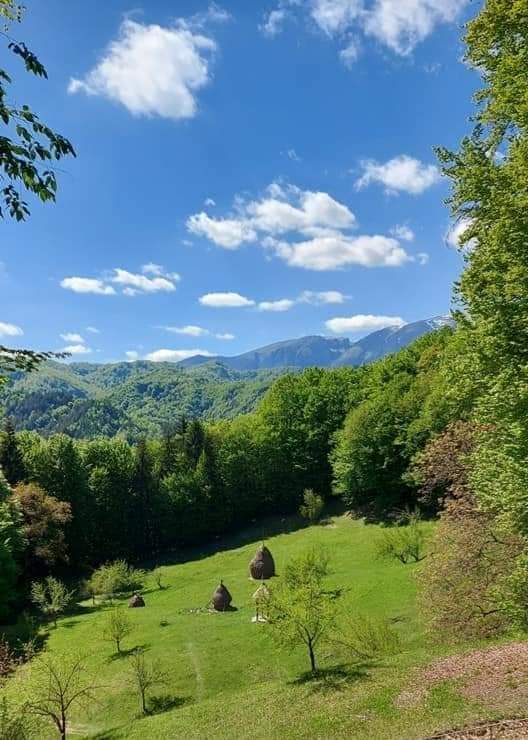 Băile Olănești #Vâlcea 
©️Discover Vâlcea 
#TraveltoRomânia