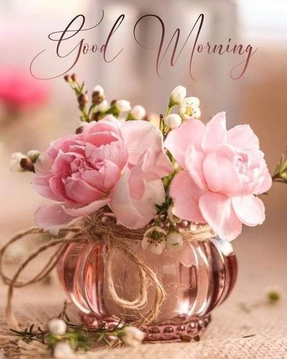 Good morning friends. Happy Saturday! Wishing you sunshine and happiness on this rainy day. Make it a great one! Much love 💕