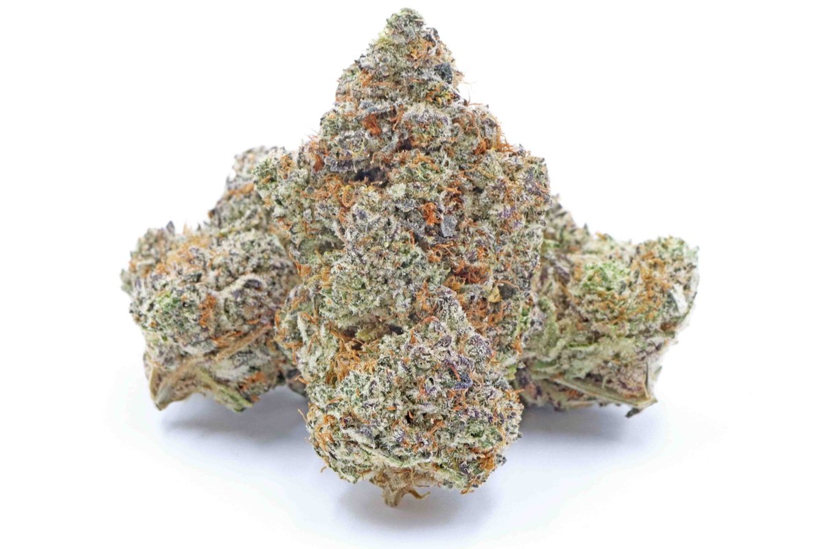 Slymer Cookies Strain – Sativa Dominant Hybrid Flower #cannabiscanada buff.ly/4cWZGMb