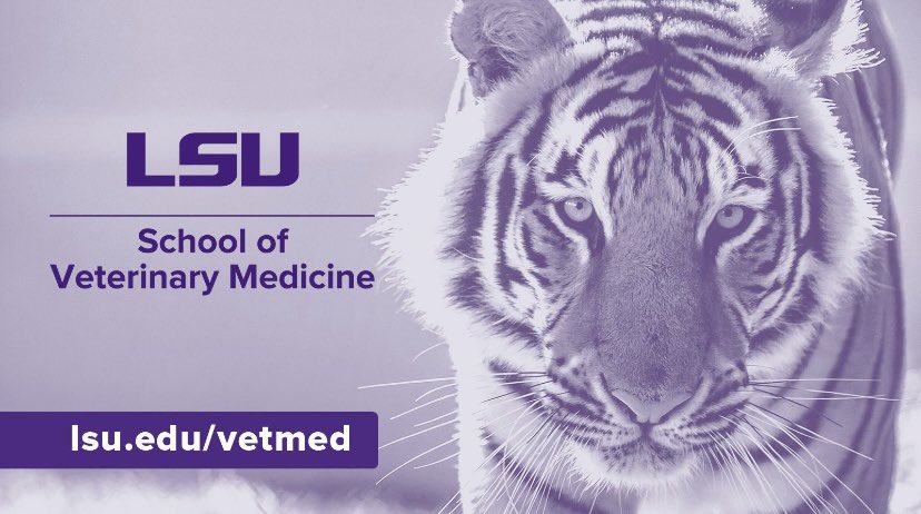 Happy #WorldVeterinaryDay from your friends @LSUVetMed, a powerhouse of teaching, healing, discovering, & protecting! Whether small animals or large, companion or farm, domestic or wild — we are here to help! Building winning teams for #Louisiana & beyond! #LSU #ScholarshipFirst