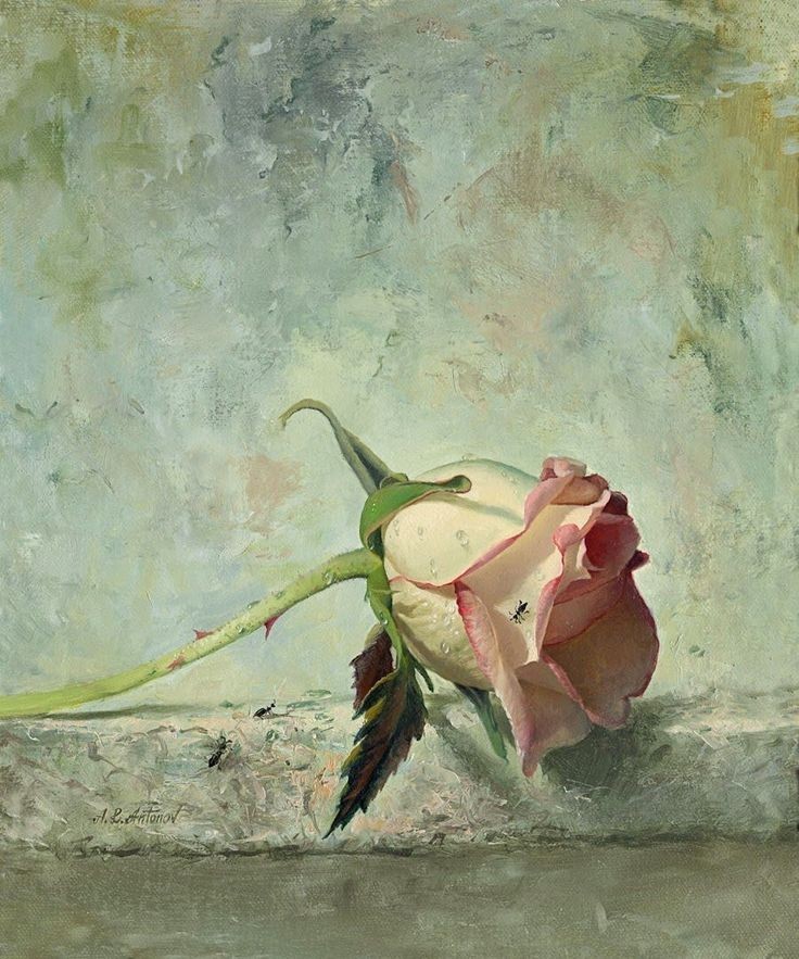Os regalo una rosa.

Alexei Antonov.🎨🖌️