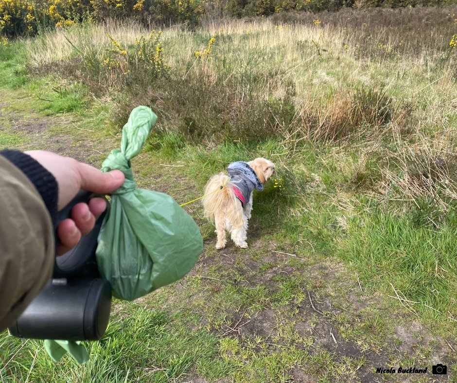 Not all of the ways we support wildlife are glamorous! Have you seen the #Countryfile #WildBritain campaign encouraging us all to carry out ‘Acts of Kindness’ at home? We’d love your support extending this kindness to our #ThamesBasinHeaths 😀 How? tbhpartnership.org.uk/about-us/