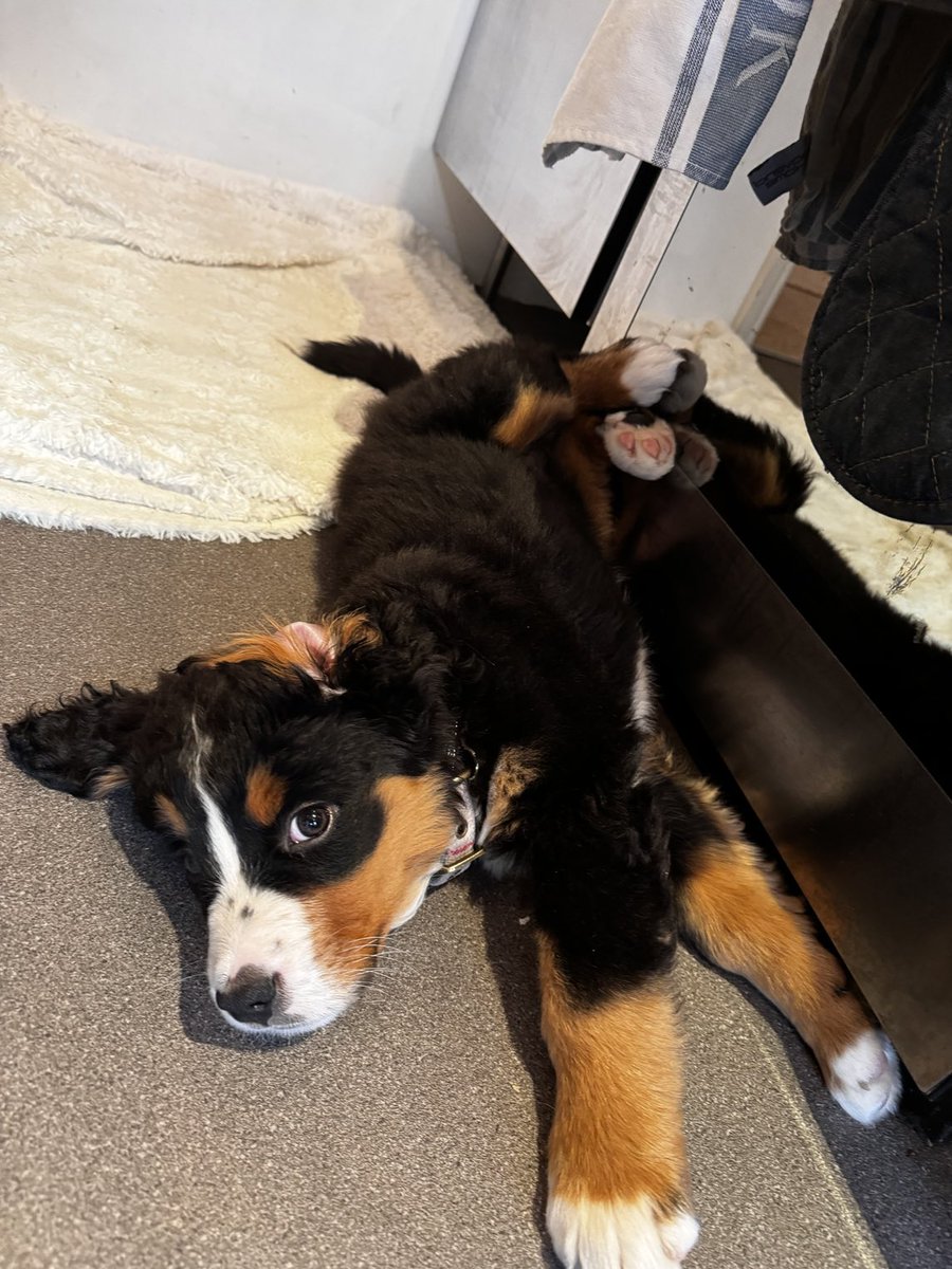 Lawrence Jones tweet media