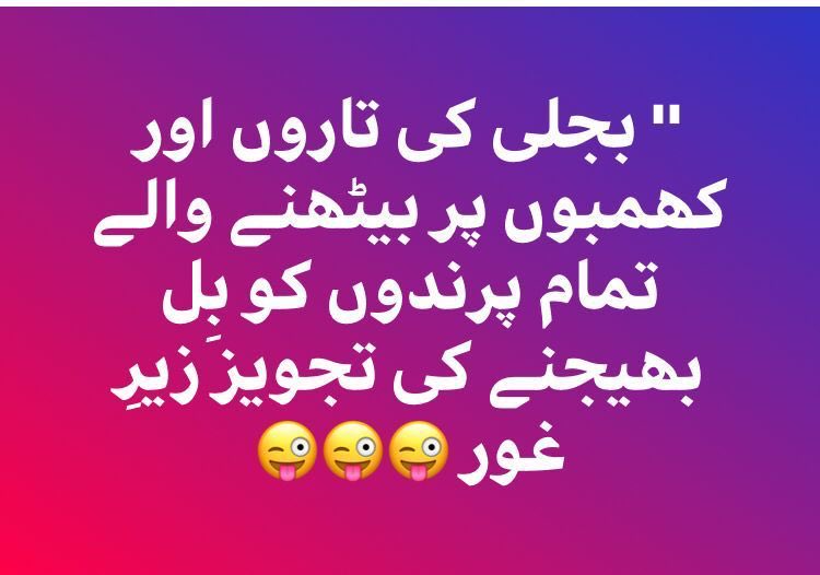 ہمارے ملک میں کچھ بھی ہو سکتا ہے؟