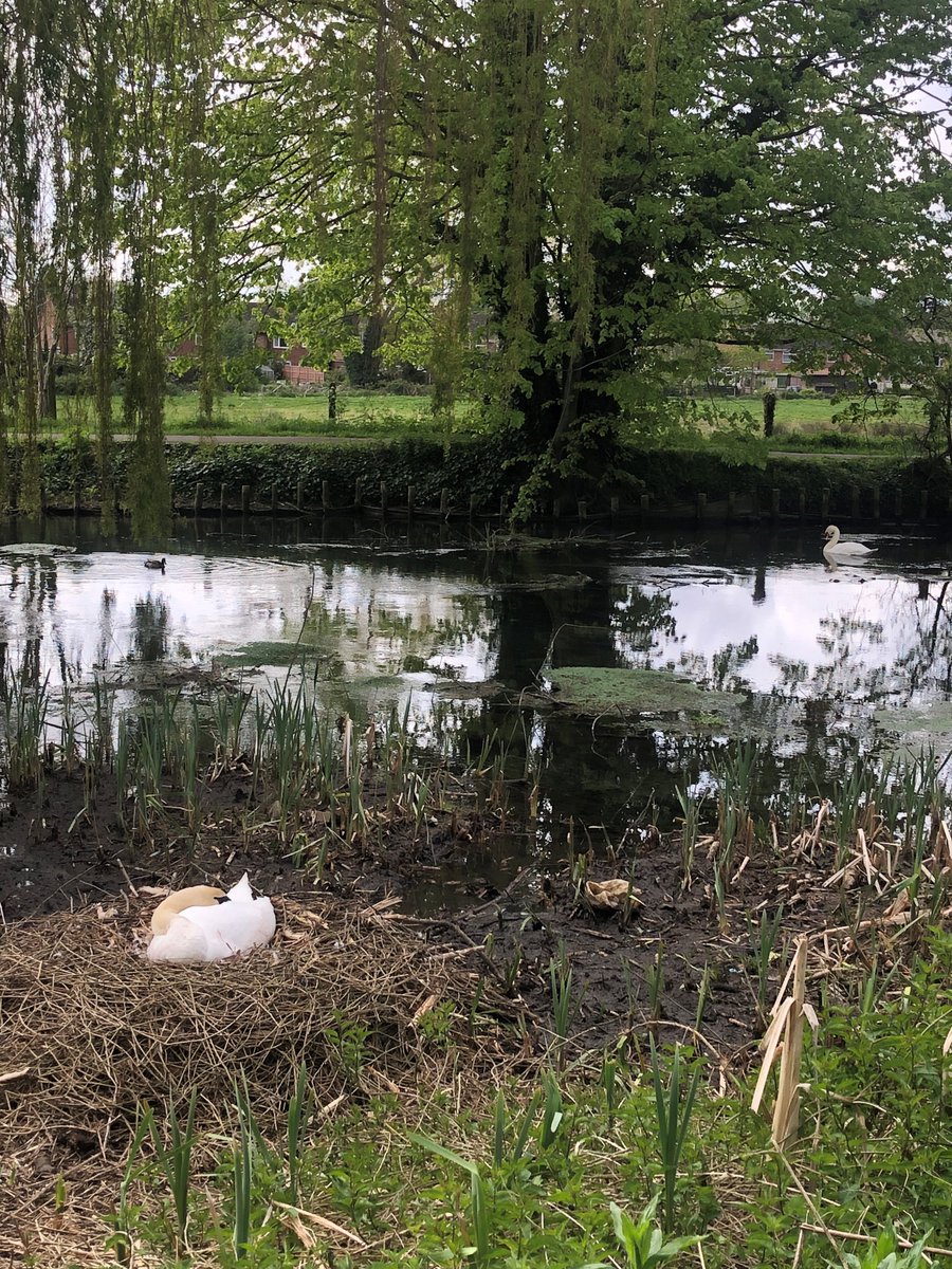 Swanning about at the mill... @heartoflincs