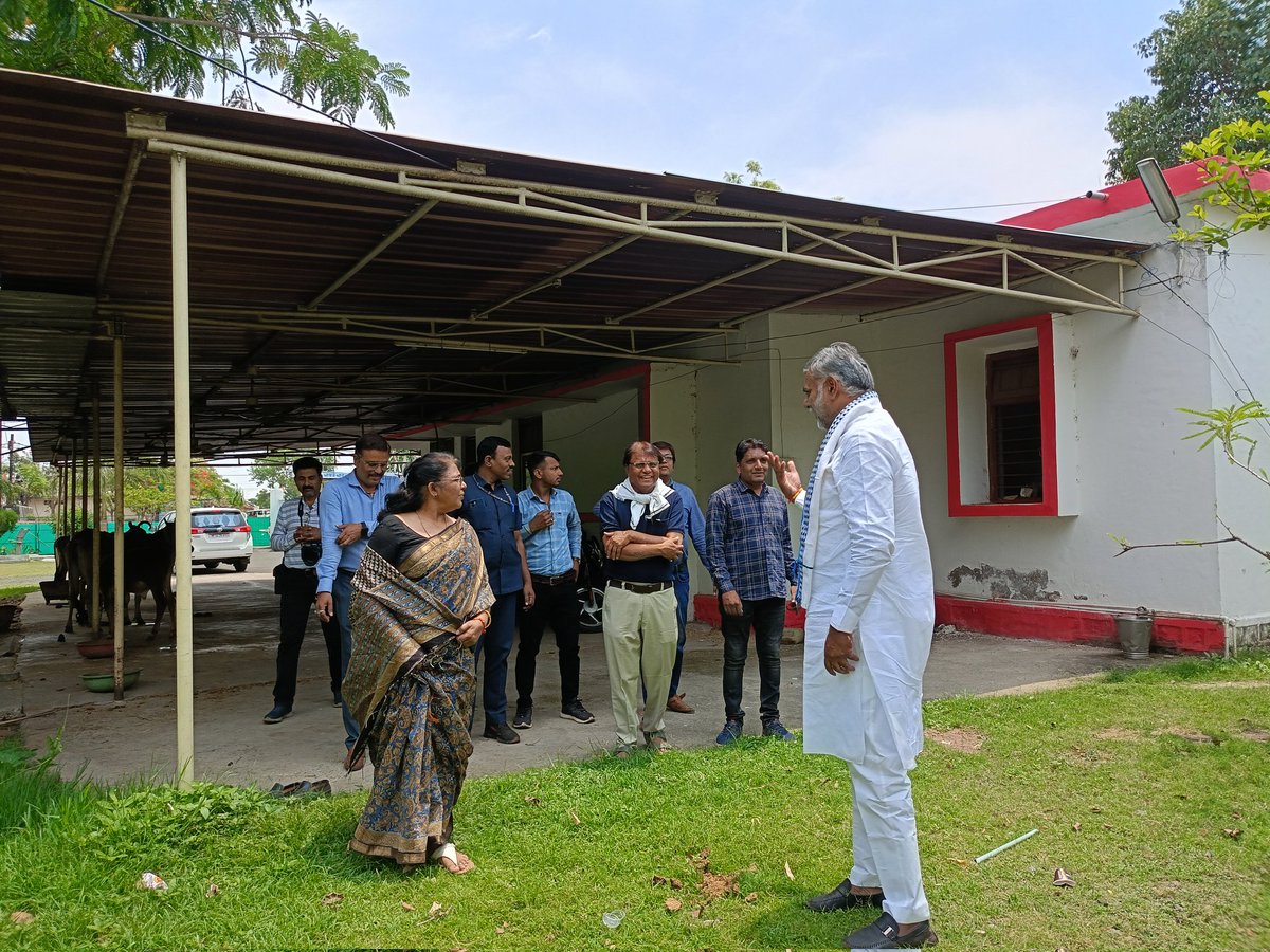 माननीय पंचायत ग्रामीण विकास एवं श्रम विभाग मंत्री श्री प्रहलाद सिंह पटेल जी एवं आदरणीय श्रीमती पुष्पलता सिंह पटेल जी का दमोह आगमन एवं गौ सेवा @prahladspatel @patel_pushplata @BJP4India @pspoffice