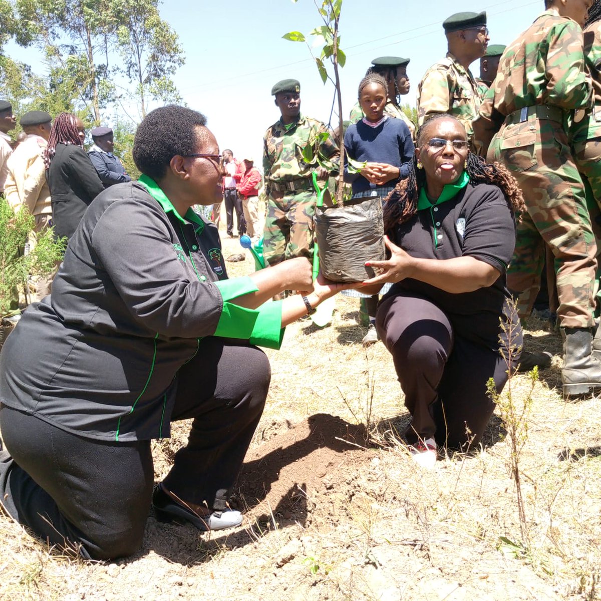 It's rainy season. We must all participate in making Kenya Green. Make use of every rain drop. #greenupkenya