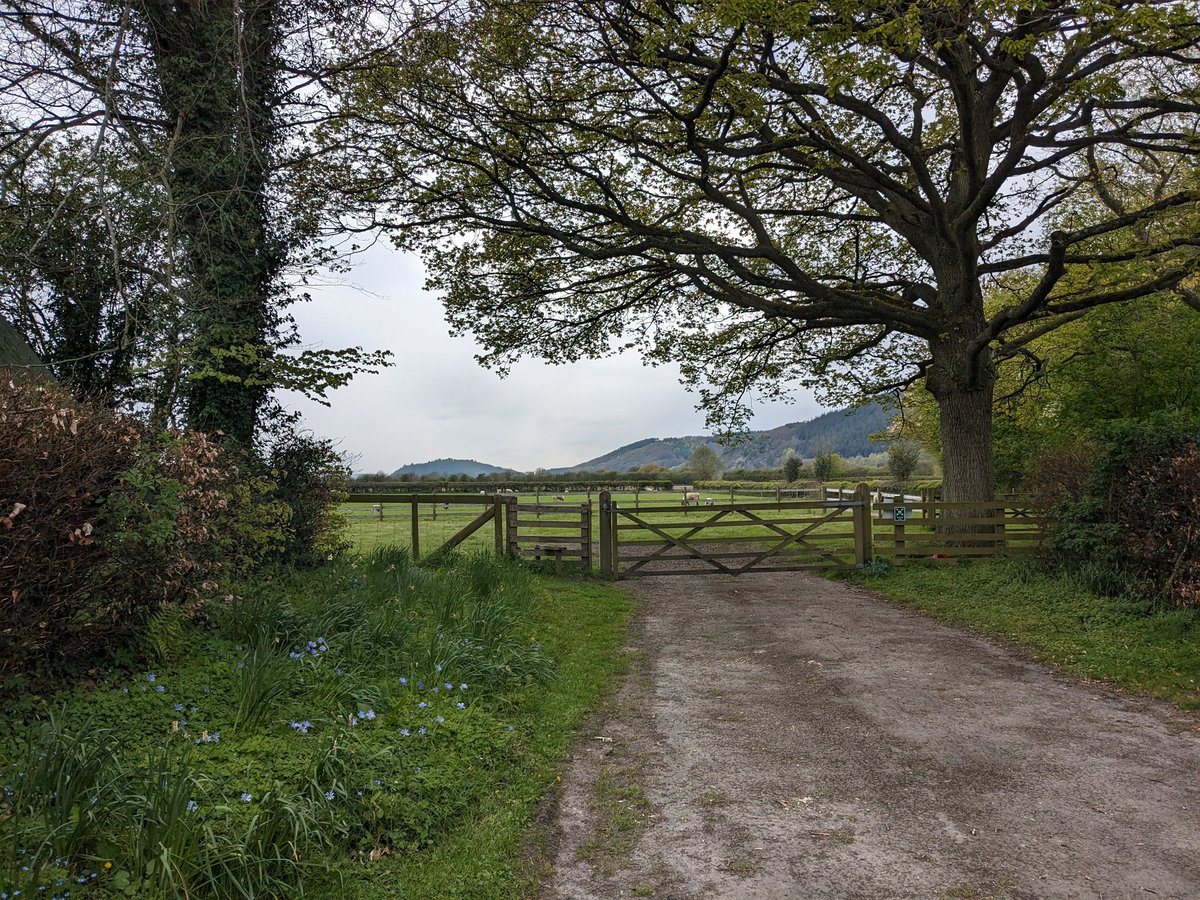 Excited to share that yesterday was my first day in my new role as Director of the <a href="/SidneyNolanTrst/">Sidney Nolan Trust</a> in beautiful North #HEREFORDSHIRE #Presteigne #SidneyNolan . Thanks for a warm welcome, looking forward to this next adventure.